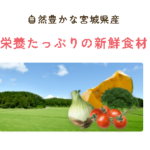 TOP-幼児食-離乳食の宅配ならファーストスプーン（first-spoon）-08-17-2026_11_34_AM