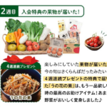 らでぃっしゅぼーや定期コース│4週間おためし専用ページ-08-26-2026_11_42_AM