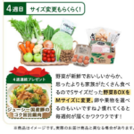 らでぃっしゅぼーや定期コース│4週間おためし専用ページ-08-26-2026_11_43_AM