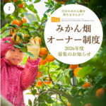 愛媛みかんの通販-お取り寄せ｜甘いみかんならミヤモトオレンジガーデン-09-23-2026_04_55_PM (2)