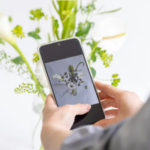 お花の定期便（サブスク）-フラワーギフトの通販AND-FLOWER-アンドフラワー--10-20-2026_05_29_PM (2)